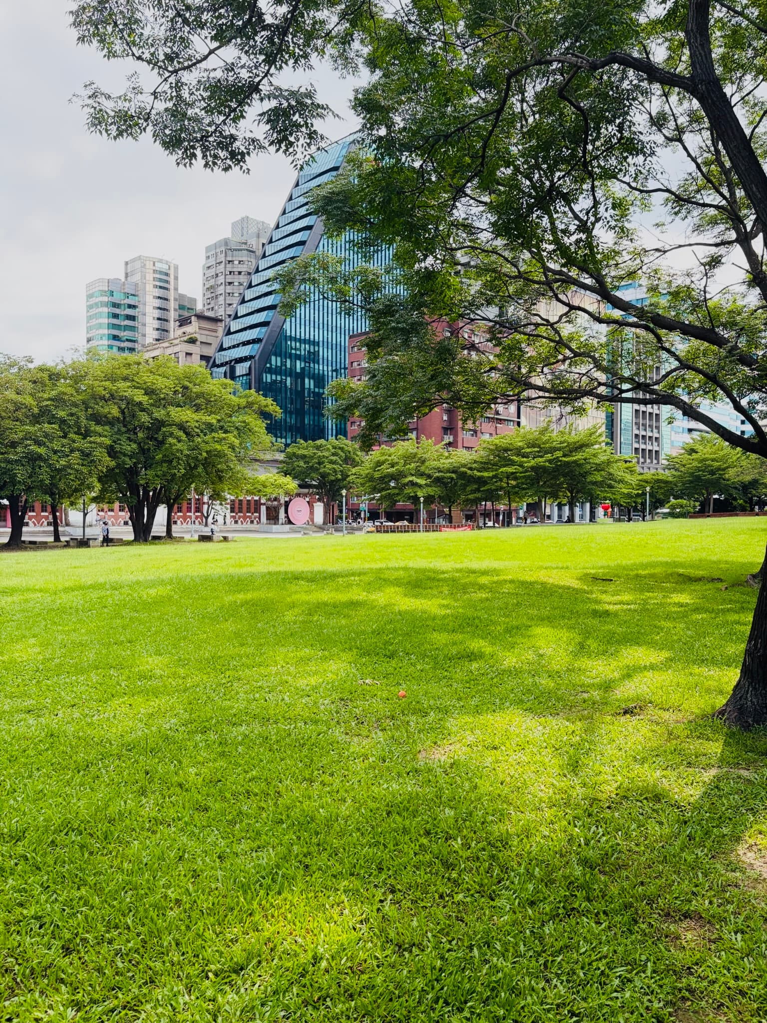 華山大草皮與周邊城市建築